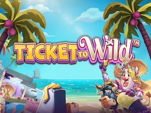 ٹکٹ ٹو وائلڈ game thumbnail